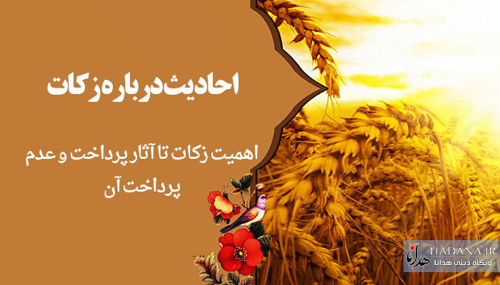 احادیث درباره زکات/ اهمیت زکات تا آثار پرداخت و عدم پرداخت آن