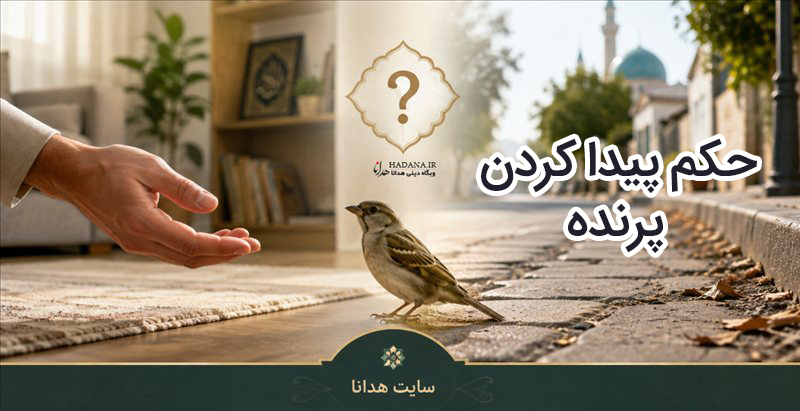 حکم پیدا کردن پرنده در منزل یا خیابان