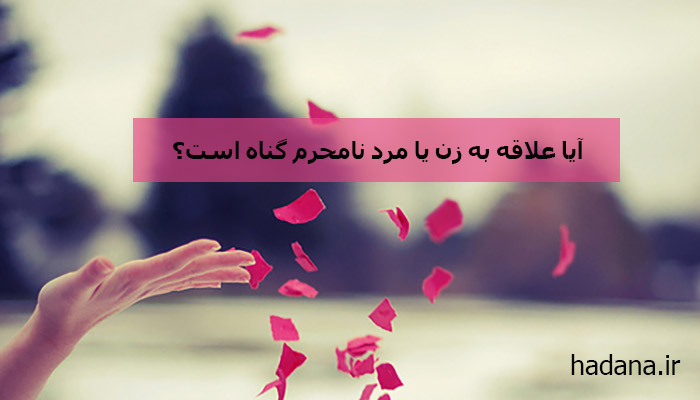  HADANA IR