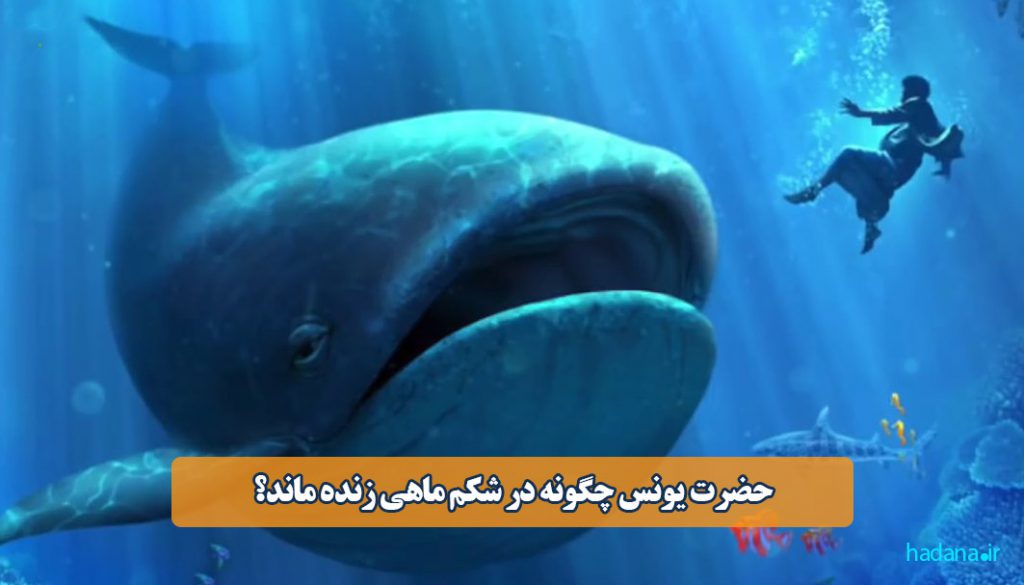 HADANA IR hadana-ir