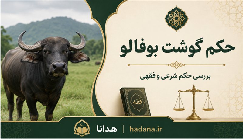 حکم گوشت بوفالو